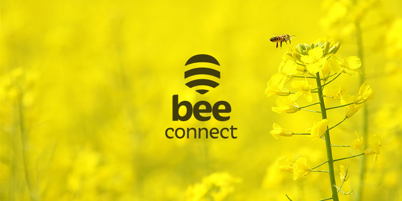 logo Bee Connect