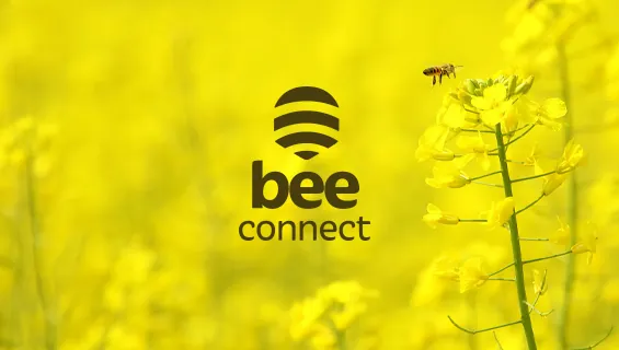 PF_logos_565x320_beeconnect